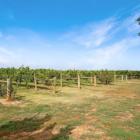 Milawa Vineyard Views - Guesthouse 2 Екстериор снимка